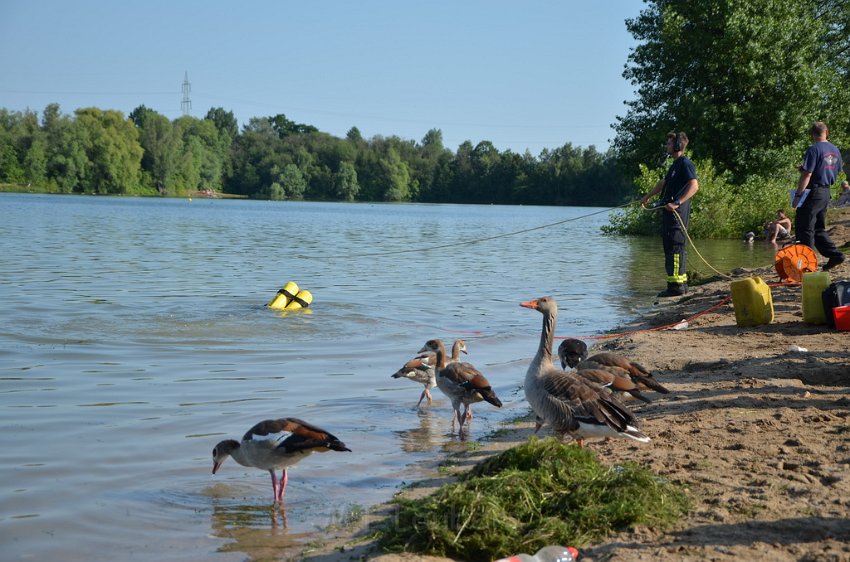 PWasser Einsatz BF FF Koeln Troisdorf Rotter See P067.JPG